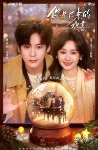 Ты - моя запоздалая радость (2026)